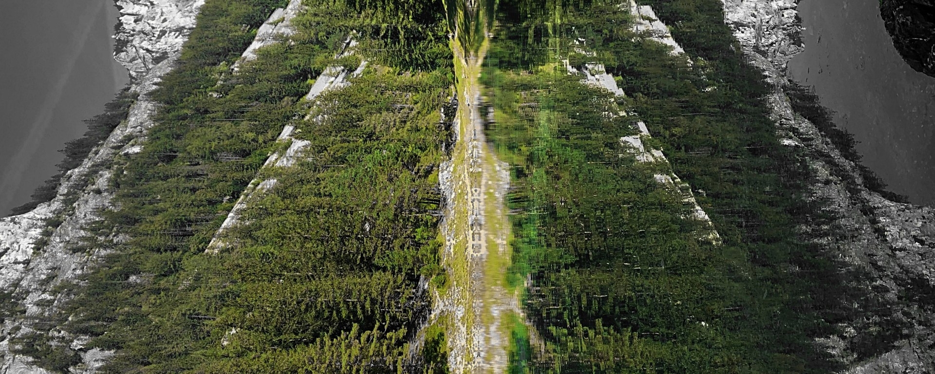 #mountainlake #reflection #water #greenlake #perception #natureresponds