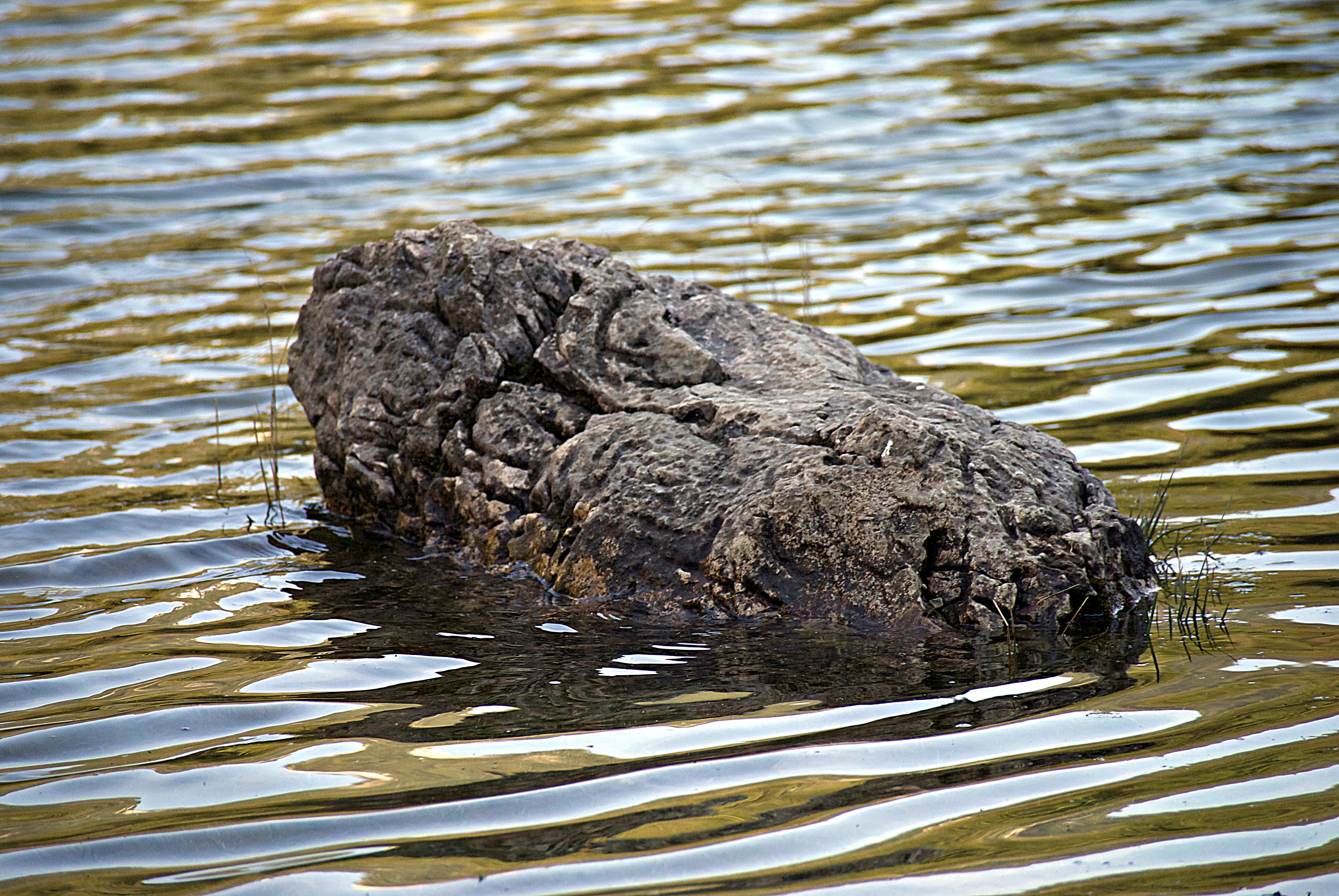 #mountainlake #reflection #greenlake #perception #natureresponds