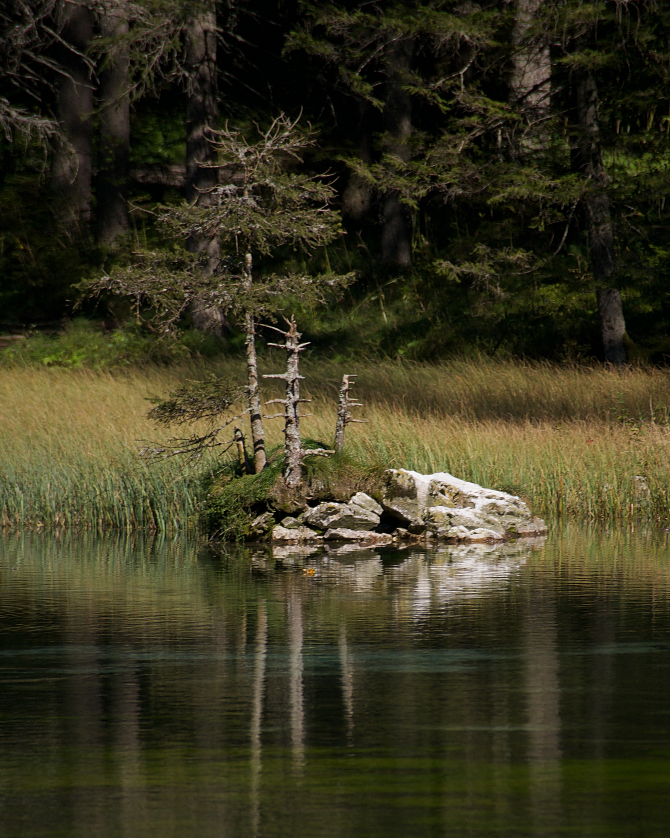#mountainlake #reflection #greenlake #trees #natureresponds